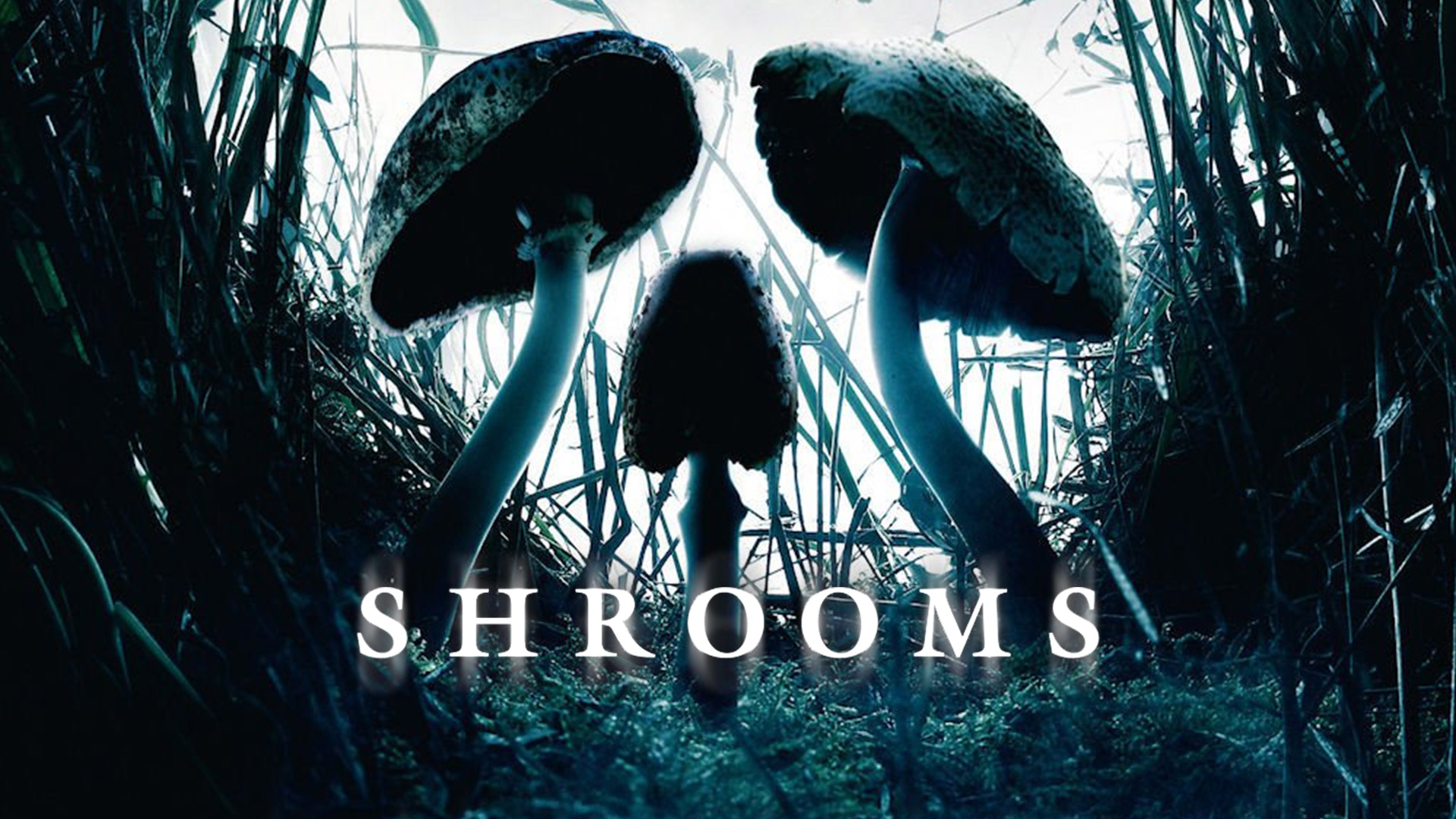 Best Movies to Watch on Shrooms