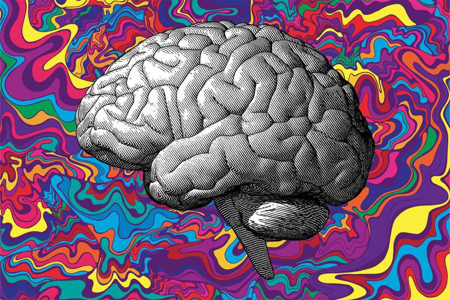 The Effects of DMT on the Brain